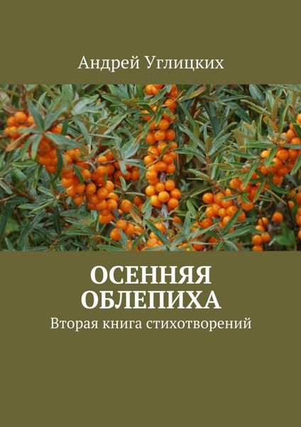 Обложка книги  «Осенняя облепиха. Вторая книга стихотворений»
