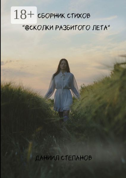 Обложка книги  «Осколки разбитого лета»