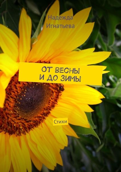 Обложка книги  «От весны и до зимы. Стихи»