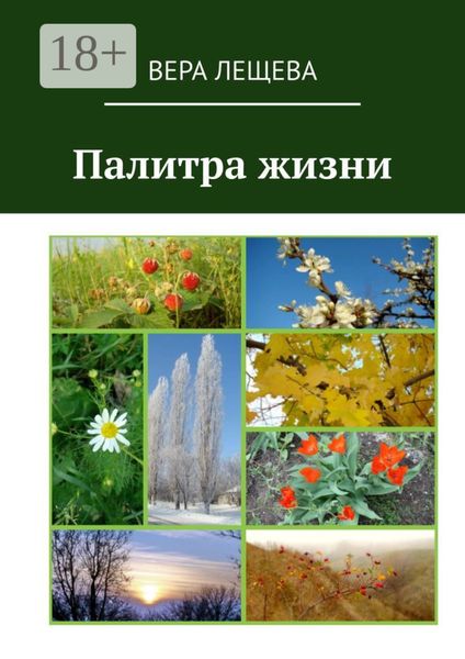 Обложка книги  «Палитра жизни»