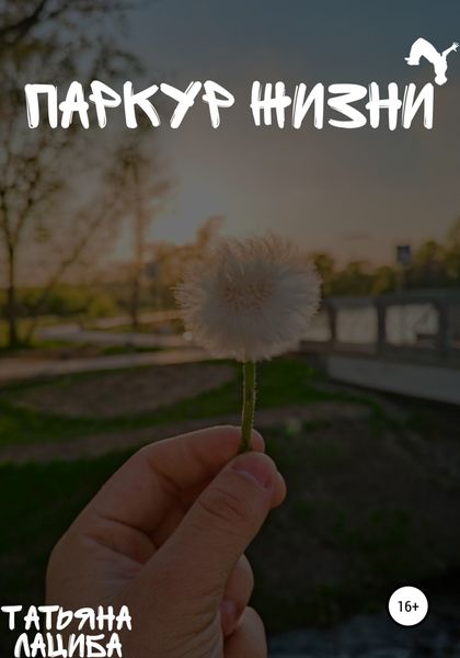 Обложка книги  «Паркур жизни»