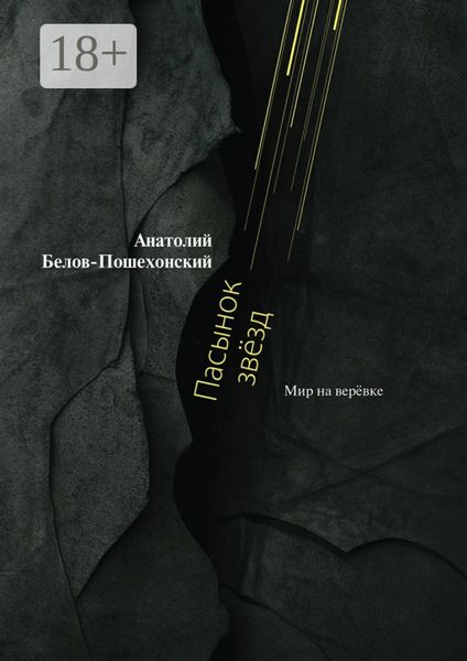 Обложка книги  «Пасынок звёзд. Мир на верёвке»