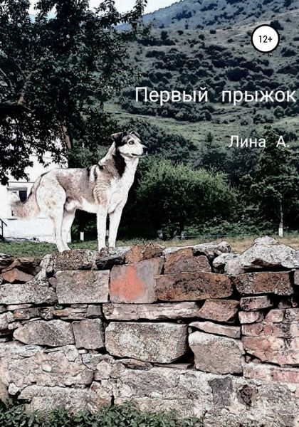 Обложка книги  «Первый прыжок»