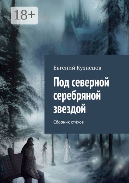 Обложка книги  «Под северной серебряной звездой. Сборник стихов»