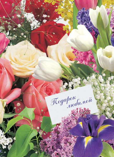 Обложка книги  «Подарок любимой»