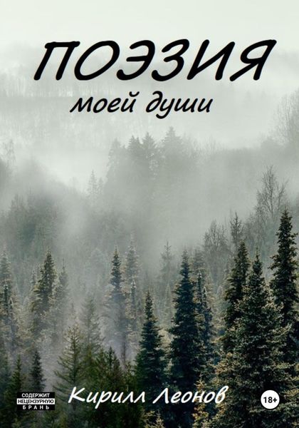 Обложка книги  «Поэзия моей души»