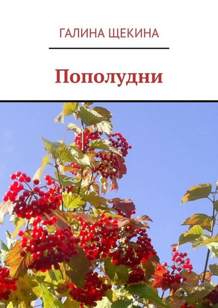 Обложка книги  «Пополудни. Книга стихов»