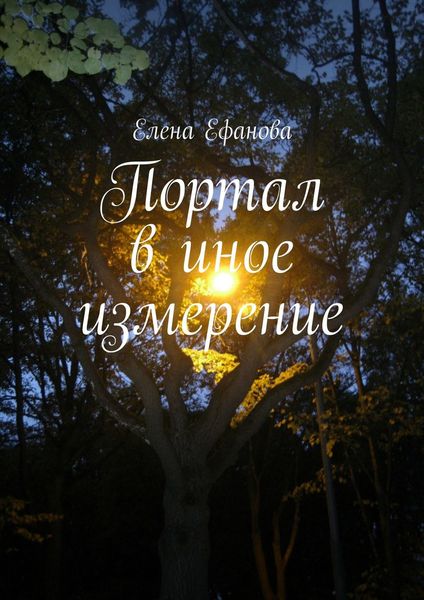 Обложка книги  «Портал в иное измерение»