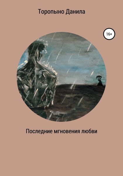 Обложка книги  «Последние мгновения любви»