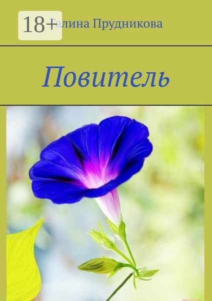 Обложка книги  «Повитель»