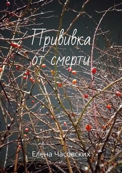 Обложка книги «Прививка от смерти»
