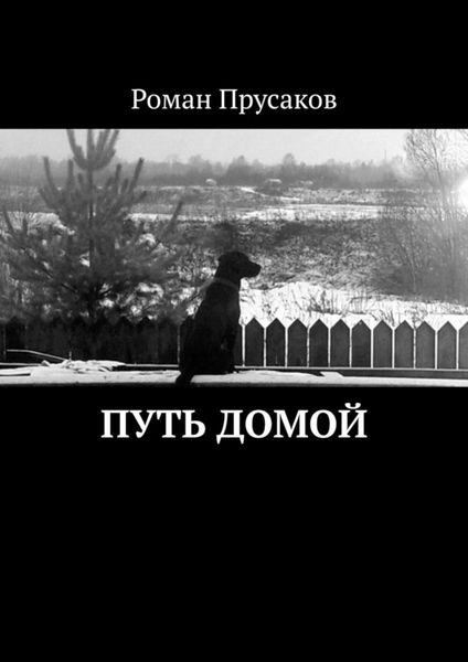 Обложка книги  «Путь домой»