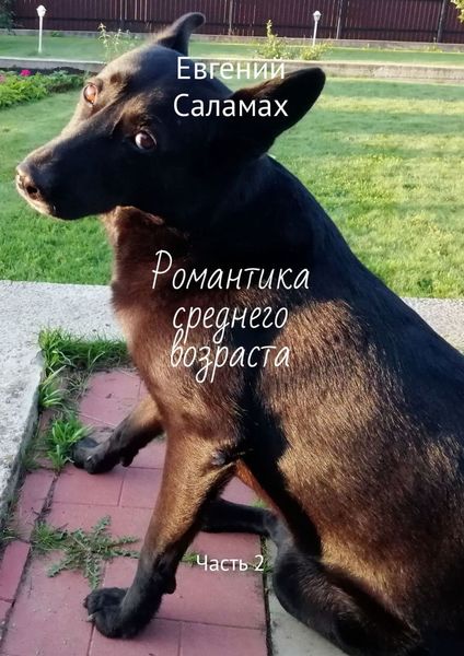 Обложка книги  «Романтика среднего возраста. Часть 2»