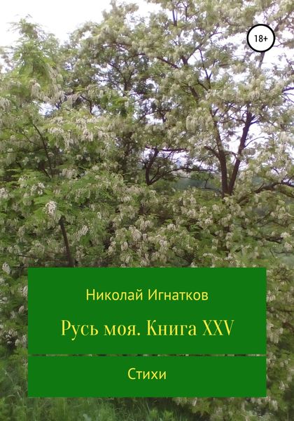 Обложка книги  «Русь моя. Книга XXV»
