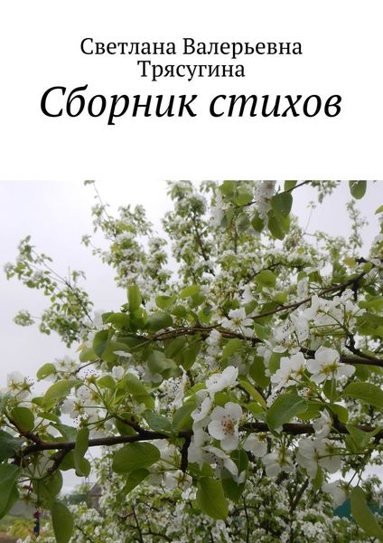 Обложка книги  «Сборник стихов»