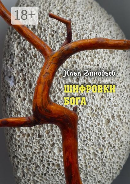 Обложка книги  «ШИФРОВКИ БОГА»