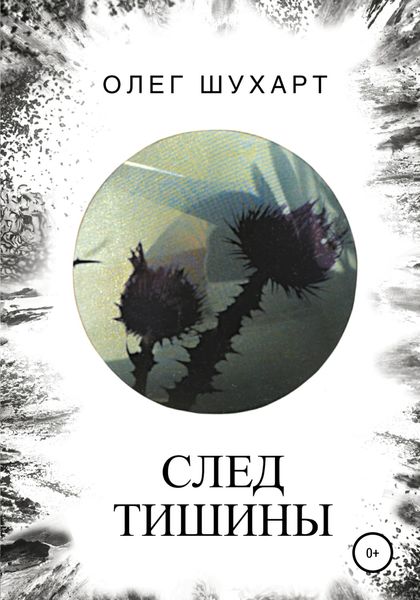 Обложка книги  «След тишины»