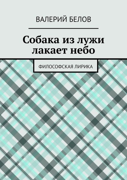 Обложка книги  «Собака из лужи лакает небо. Философская лирика»