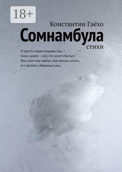 Обложка книги  «Сомнамбула. Стихи»