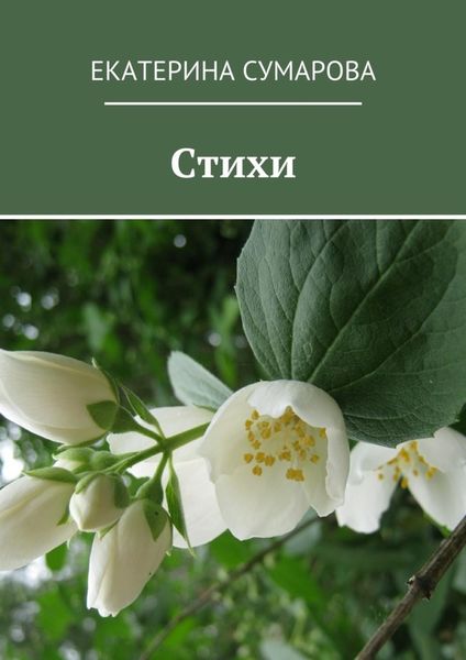 Обложка книги  «Стихи»