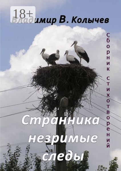 Обложка книги  «Странника незримые следы»