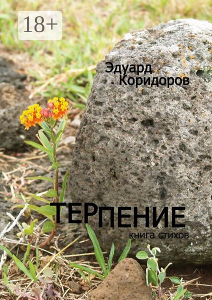 Обложка книги  «Терпение. Книга стихов»