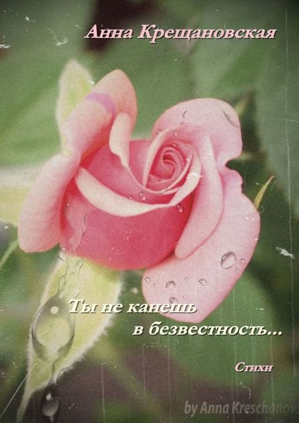 Обложка книги  «Ты не канешь в безвестность…»