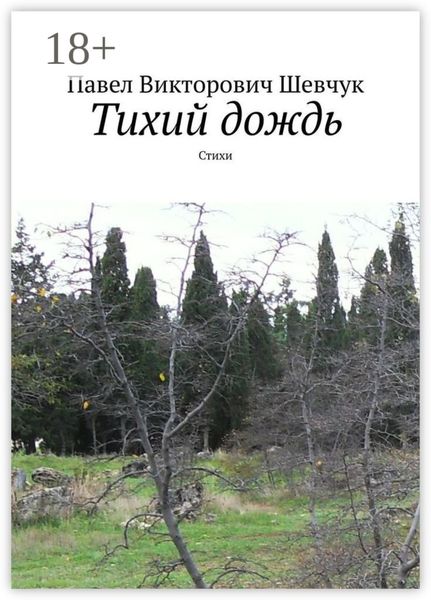 Обложка книги  «Тихий дождь. Стихи»