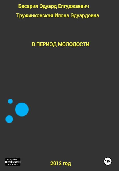 Обложка книги  «В период молодости»