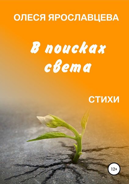 Обложка книги  «В поисках света»