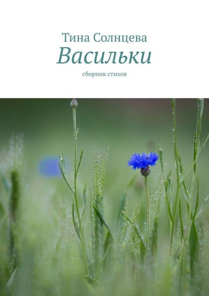 Обложка книги  «Васильки. Сборник стихов»