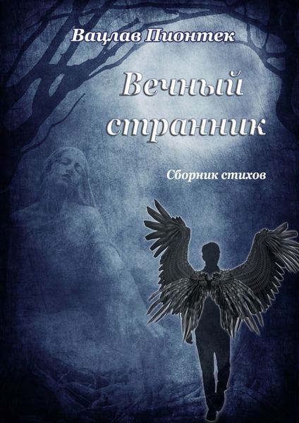 Обложка книги  «Вечный странник. Сборник стихов»