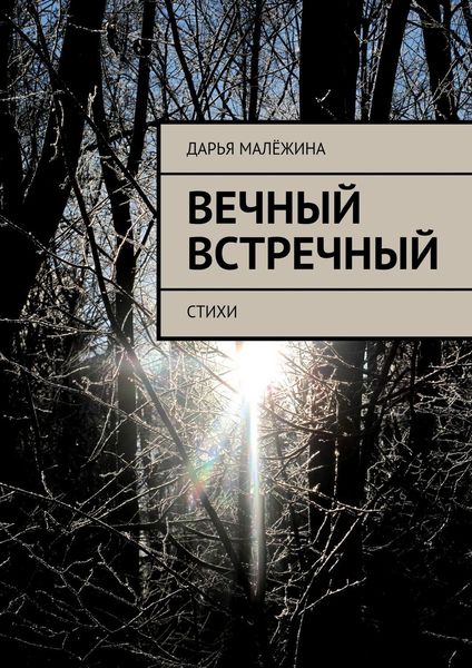 Обложка книги  «Вечный встречный. Стихи»
