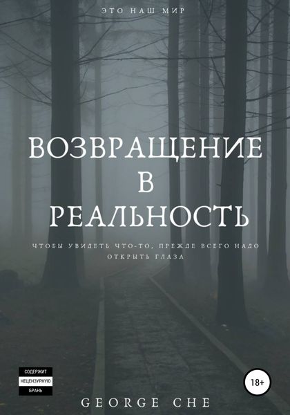 Обложка книги  «Возвращение в реальность»