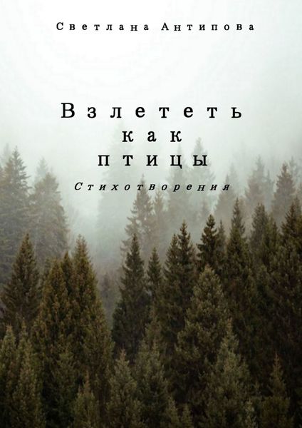 Обложка книги  «Взлететь как птицы»