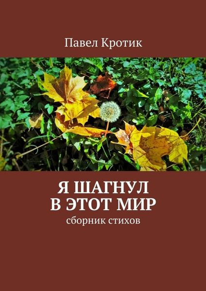 Обложка книги  «Я шагнул в этот мир. Сборник стихов»