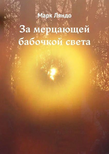 Обложка книги  «За мерцающей бабочкой света»