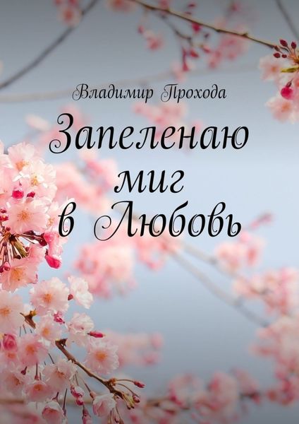 Обложка книги «Запеленаю миг в Любовь»