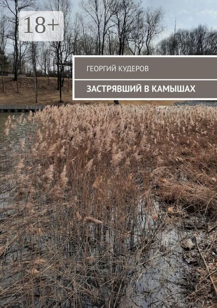Обложка книги «Застрявший в камышах»