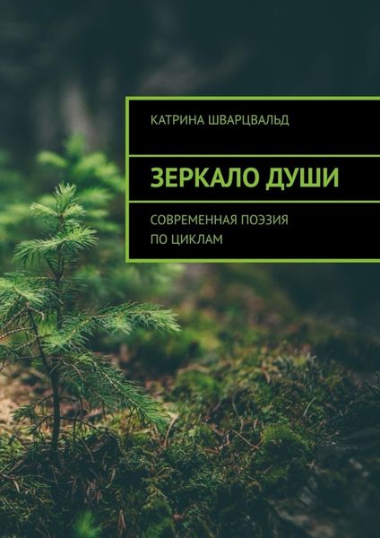 Обложка книги  «Зеркало души. Современная поэзия по циклам»