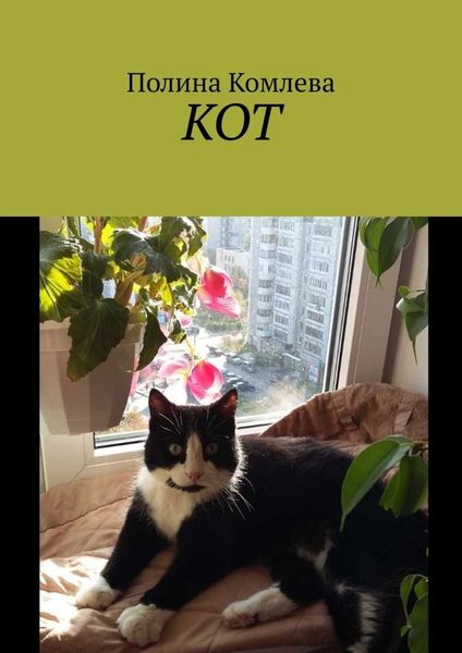 Обложка книги «КОТ»
