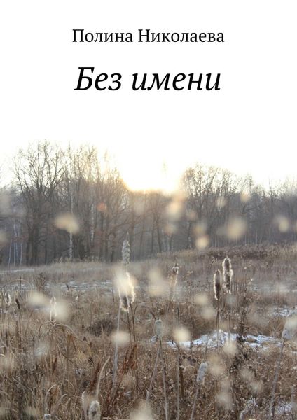Обложка книги  «Без имени»