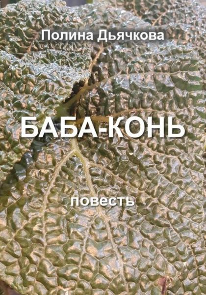 Обложка книги  «Баба-конь»