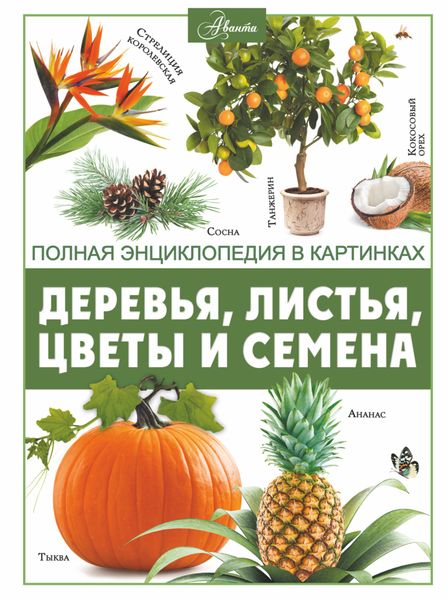 Обложка книги  «Деревья, листья, цветы и семена»