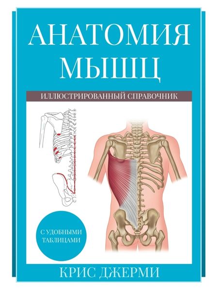 Обложка книги  «Анатомия мышц: иллюстрированный справочник»