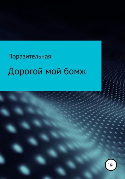 Обложка книги  «Дорогой мой бомж»