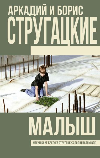 Обложка книги  «Малыш»