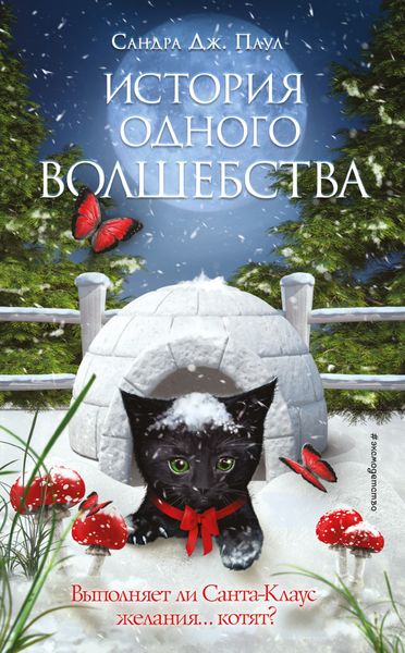 Обложка книги  «История одного волшебства»