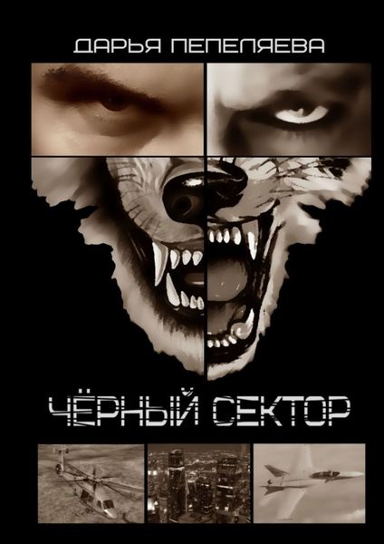 Обложка книги  «Чёрный сектор»