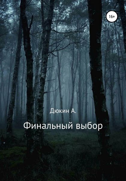 Обложка книги  «Финальный выбор»